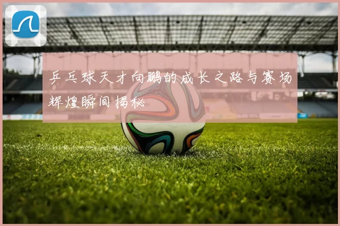 乒乓球天才向鹏的成长之路与赛场辉煌瞬间揭秘
