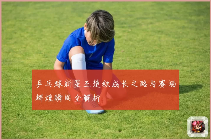 乒乓球新星王楚钦成长之路与赛场辉煌瞬间全解析