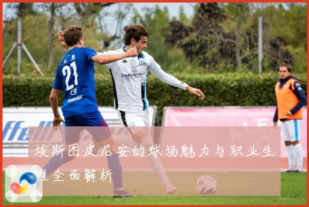埃斯图皮尼安的球场魅力与职业生涯全面解析