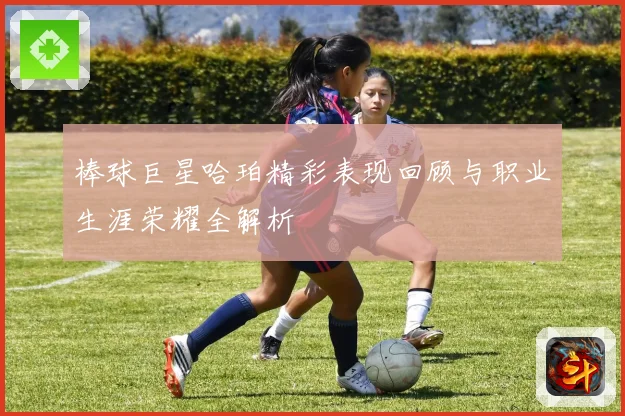 棒球巨星哈珀精彩表现回顾与职业生涯荣耀全解析