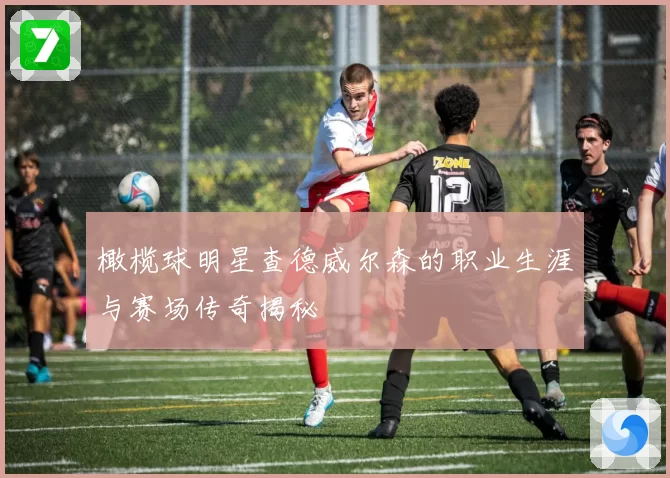 橄榄球明星查德威尔森的职业生涯与赛场传奇揭秘