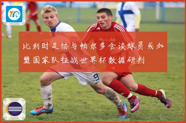 比利时足协与帕尔多会谈球员或加盟国家队征战世界杯数据研判