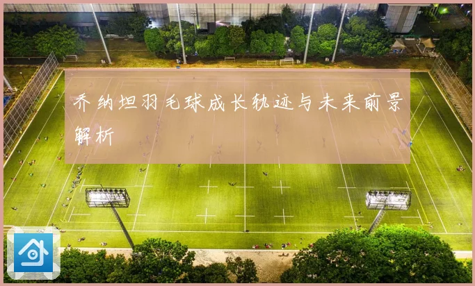乔纳坦羽毛球成长轨迹与未来前景解析