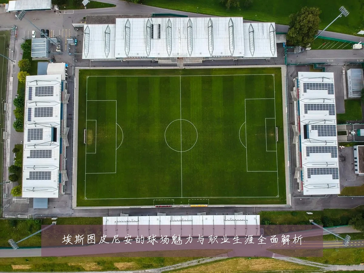 埃斯图皮尼安的球场魅力与职业生涯全面解析