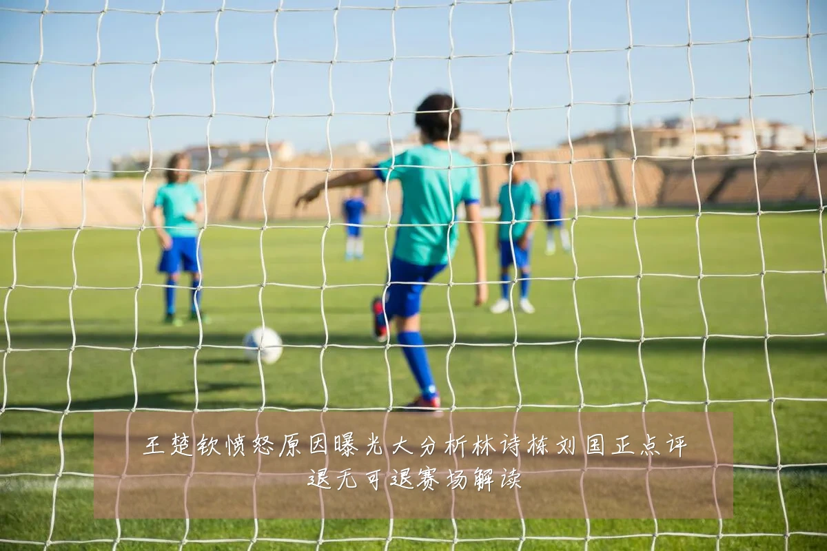 王楚钦愤怒原因曝光大分析林诗栋刘国正点评退无可退赛场解读