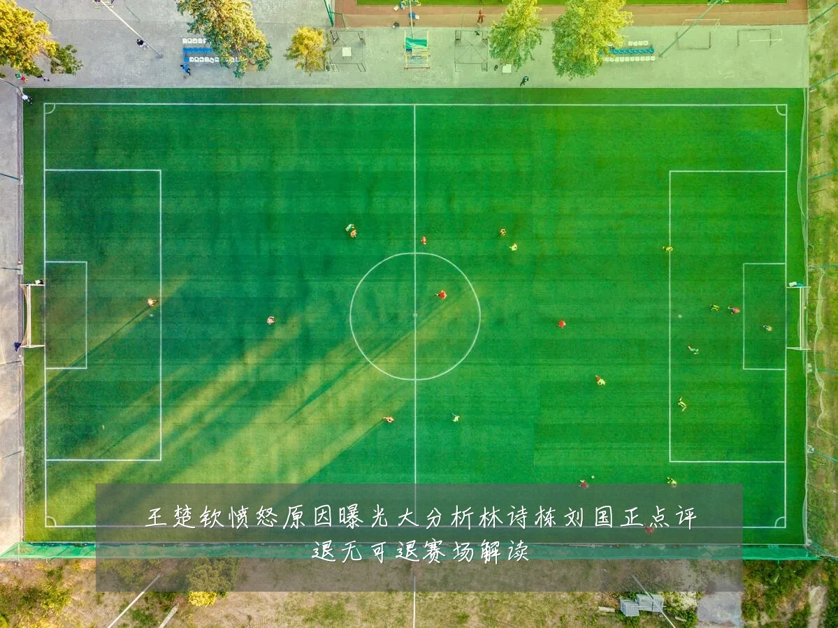 王楚钦愤怒原因曝光大分析林诗栋刘国正点评退无可退赛场解读
